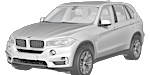 BMW F15 P005E Fault Code